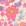 Pink Floral Canvas