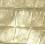 Gold Croc