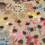 Beige Multi Print