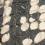 Grey Snake Print