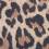 Leopard Print