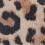 Leopard Print