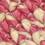 Pink Multi