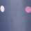 Spot