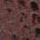 Bordo/Snake Print