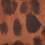 Brown Leopard