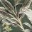 Olive Cream Fern