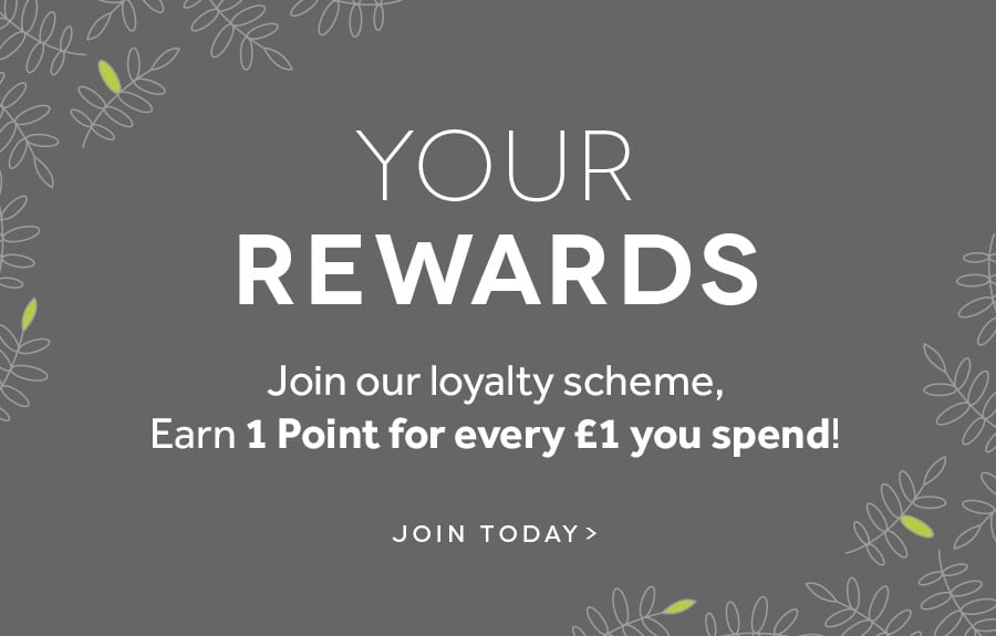 Your Rewards