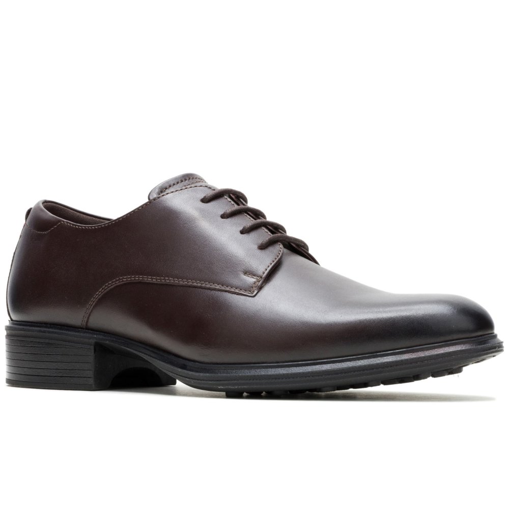 Hush Puppies Men's Brown Lewis Oxford Shoes Colour: : Size 9