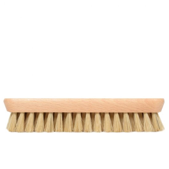Beech Brush