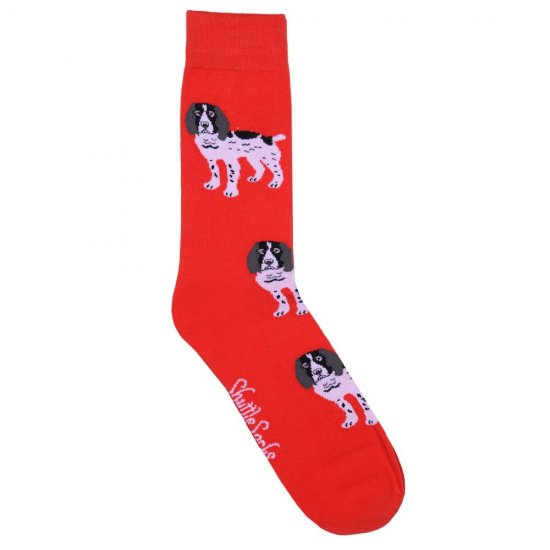 Spaniel Socks 8-12