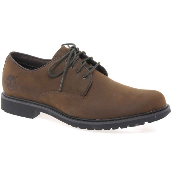 Earthkeeper Stormbuck Mens Lace Up Shoes