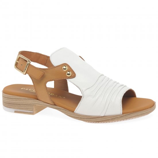 Coastal Womens Buckle Fastening Sandals