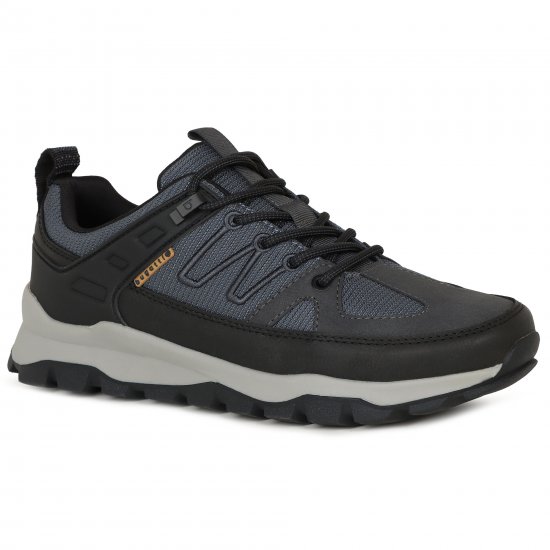 Rapid Trainers